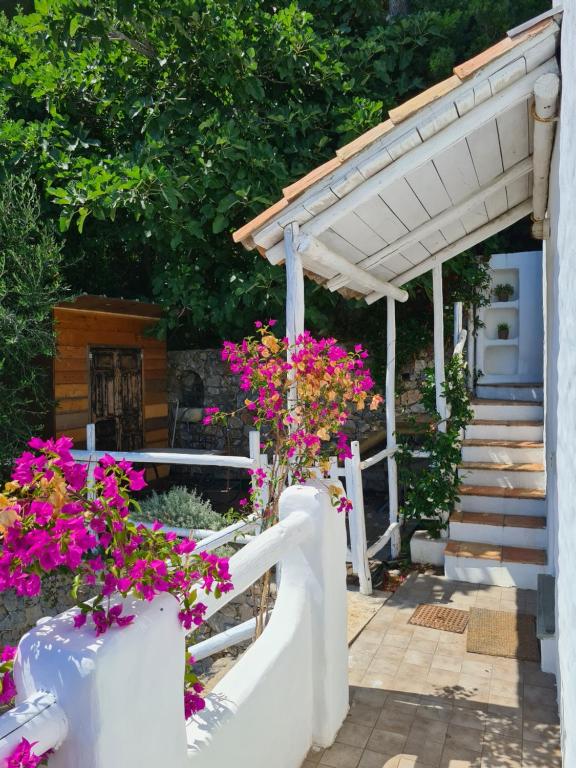 Soqquadro Art&Relax - Spotorno (SV) Sea View room 3