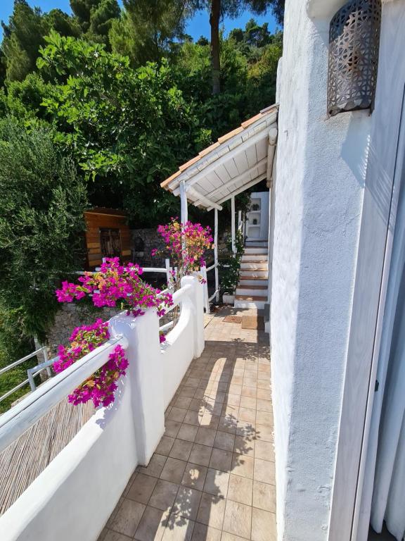 Soqquadro Art&Relax - Spotorno (SV) Sea View room 4